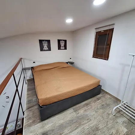 Tapia's Big Tatil Evi